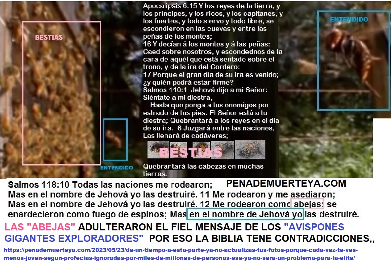 Jehova y la ley de la vida